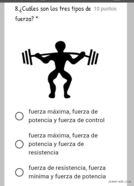 ¿Cuáles son los 3 tipos de fuerza que realmente definen el rendimiento físico humano hoy?