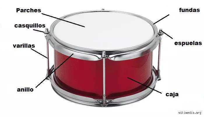 ¿Cuáles son los nombres de los tambores que realmente definen la historia musical del mundo?