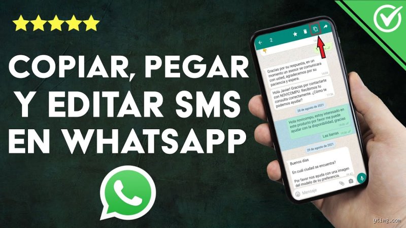 La guía definitiva para copiar y pegar una conversación de WhatsApp sin perder el hilo de tus mensajes importantes