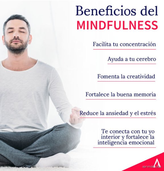 El Laberinto de la Mente: ¿Por qué es tan difícil dejar de pensar en lo que no queremos pensar? (Primera Parte)