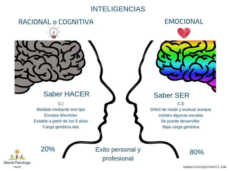 Radiografía de la Inteligencia Emocional: Más Allá de las Etiquetas