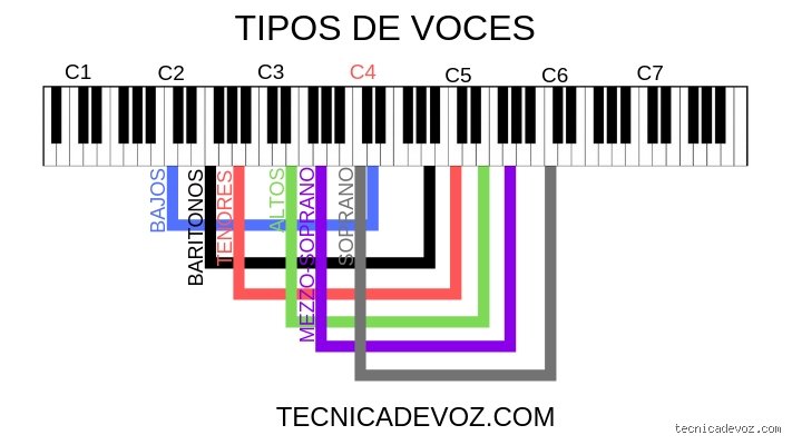 Descifrar el enigma de las cuerdas vocales: ¿Cómo puedo saber el tono de voz que tengo?