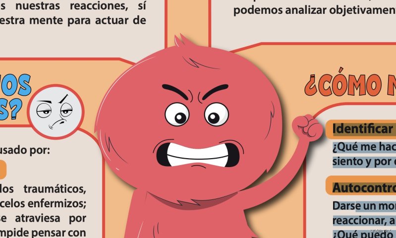 ¿Cómo se le dice a una persona enojona?