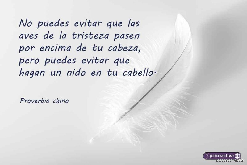 En busca de la herida invisible: ¿Cuál es la frase más triste del mundo según la psicología y la literatura?