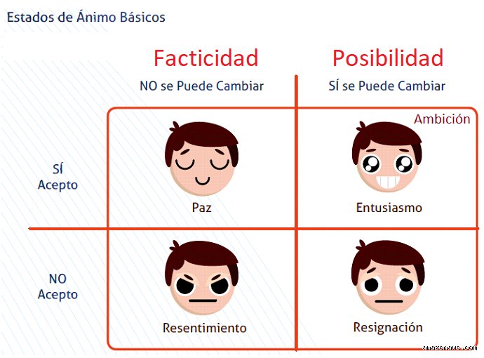 ¿Cuáles son los 4 estados mentales?