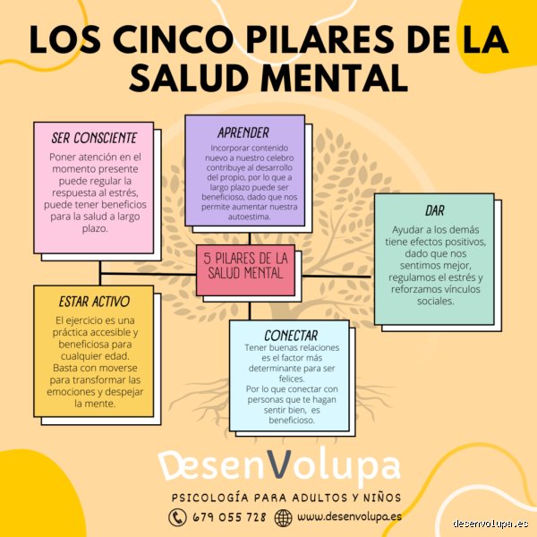 ¿Cuáles son los 5 pilares de la fortaleza mental y cómo blindar tu mente contra el caos actual?