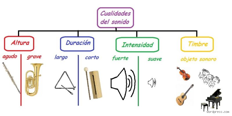 Más allá del ruido: un análisis profundo sobre cuáles son los cinco elementos del sonido que definen nuestra realidad acústica
