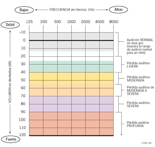 ¿Cuántos Hz soporta el ser humano? La ciencia real detrás de las frecuencias que nuestro cuerpo puede (y no puede) tolerar