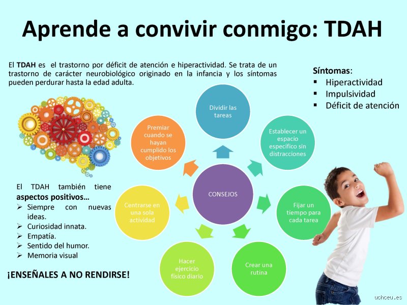 ¿Es difícil convivir con alguien que tiene TDAH? Guía definitiva para entender el caos y la conexión emocional