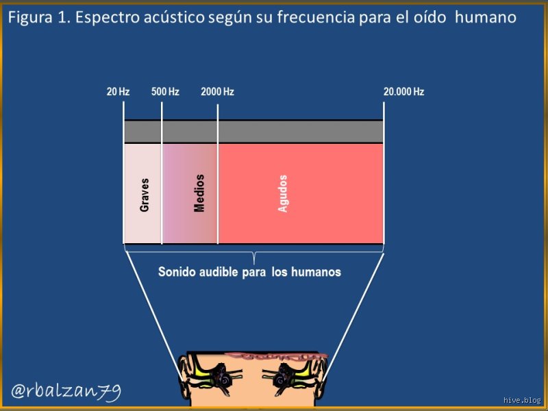 ¿Podemos oír el sonido de 500 Hz? El misterio de la frecuencia que define nuestra realidad acústica