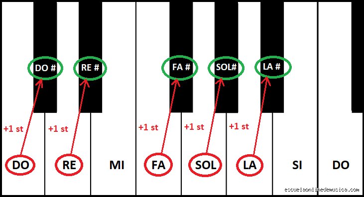 ¿Por qué la nota mi no tiene sostenido? Desmontando el gran mito de la teoría musical moderna