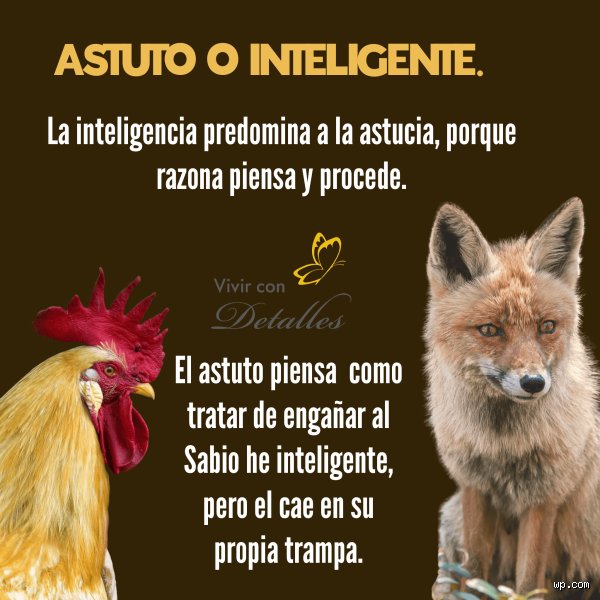 ¿Puede una persona ser inteligente pero no astuta?