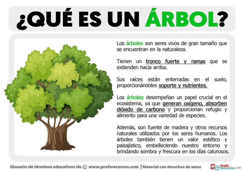 ¿Qué significa arbores?
