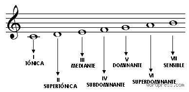 ¿Cómo se llaman las notas de una escala?