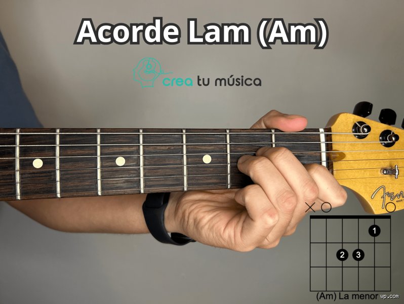 ¿Cómo suena la nota la menor? El enigma emocional detrás del tono más honesto de la música occidental