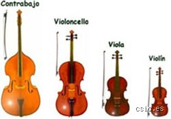 El enigma de la frecuencia extrema: ¿Cuál es el instrumento musical más agudo de la orquesta y el mundo?