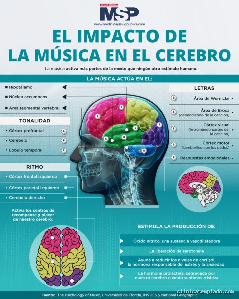 El impacto invisible de las ondas sonoras: ¿Cuáles son 4 efectos de la música en el cerebro y cómo moldean nuestra realidad biológica?