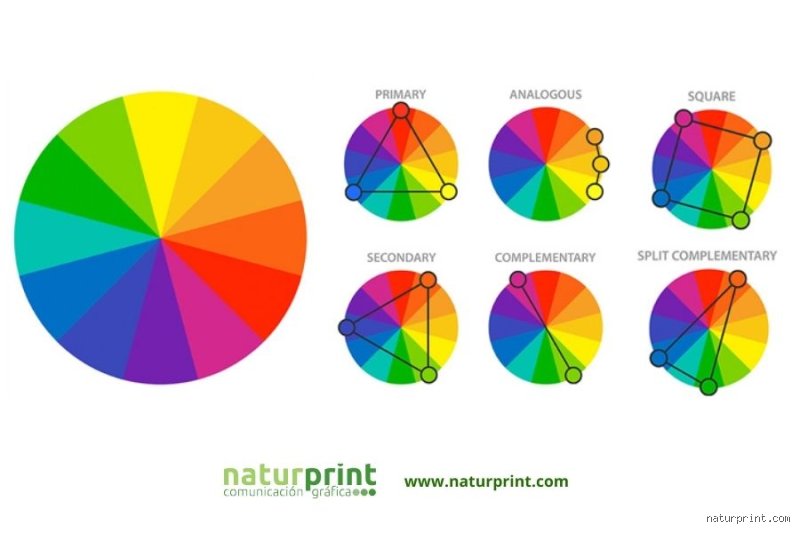 ¿Cuáles son los 12 tonos de color y cómo dominan nuestra percepción visual en el diseño moderno?