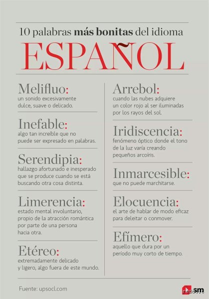 Más allá del exceso verbal: ¿Cuál es una palabra elegante para decir demasiado en el español culto?