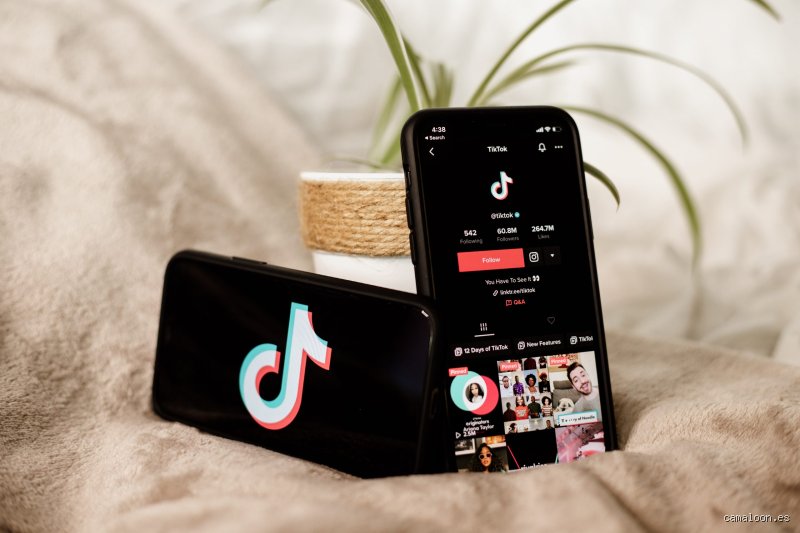 ¿Puedo ganarme la vida con TikTok?