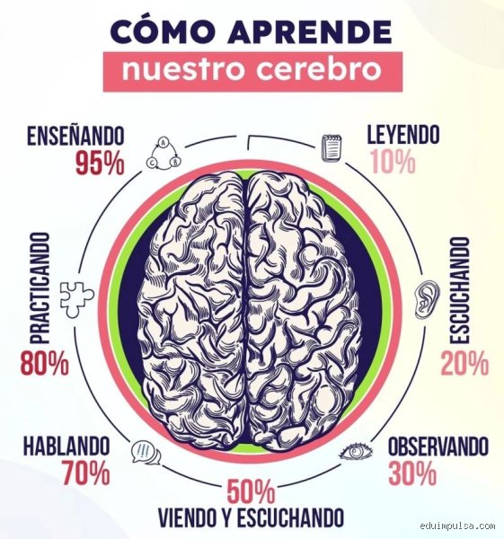 ¿Cómo aprende el cerebro mejor?