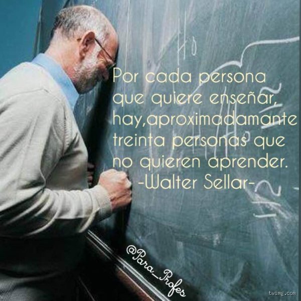 ¿Cómo se le llama a la persona que no quiere aprender?