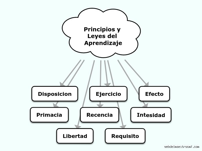 ¿Cuáles son las 3 leyes del aprendizaje?