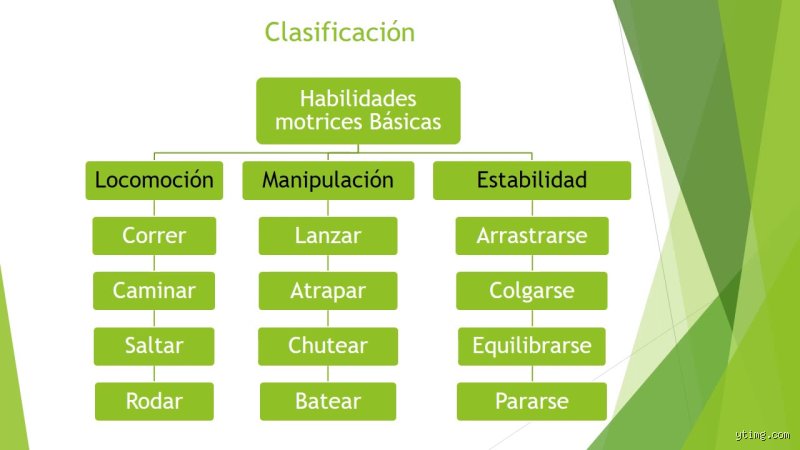 ¿Cuáles son las 4 clasificaciones de habilidades?