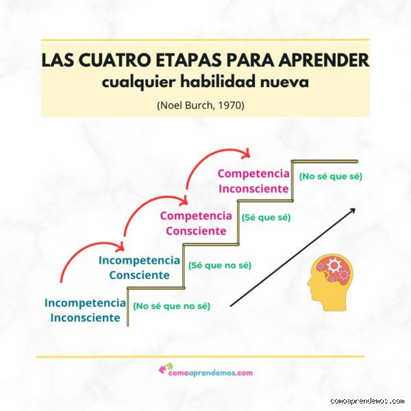 ¿Cuáles son las 4 etapas del desarrollo de habilidades?