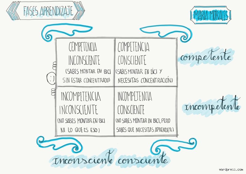 ¿Cuáles son las 4 fases del aprendizaje?