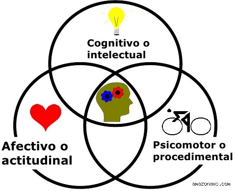 ¿Cuáles son los 4 dominios de cómo se produce el aprendizaje?
