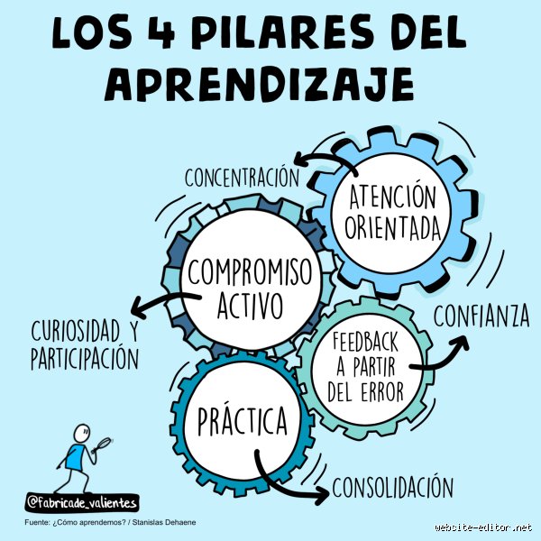 ¿Cuáles son los 4 pilares del aprendizaje?
