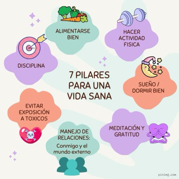 ¿Cuáles son los 7 pilares de una buena vida?