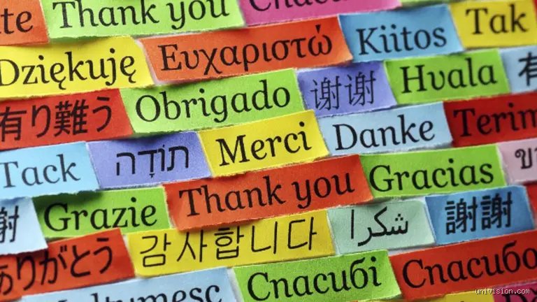 ¿Cuántos idiomas se necesitan para ser un hiperpolíglota?