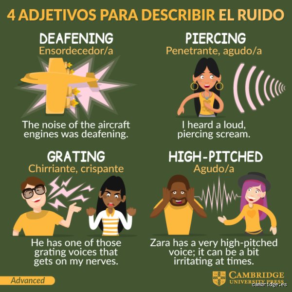 ¿Cuál es la forma adjetiva de ruidoso? Descifrando el verdadero laberinto gramatical del idioma castellano