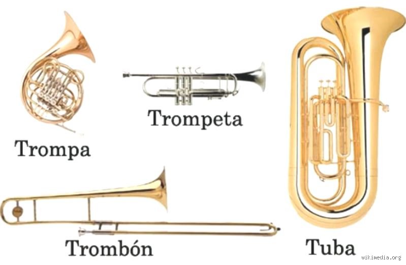 ¿Cuáles son 5 instrumentos aerófonos? Descubre su magia sonora