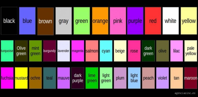 ¿Cuáles son los 24 colores? Descifrando el misterio del espectro