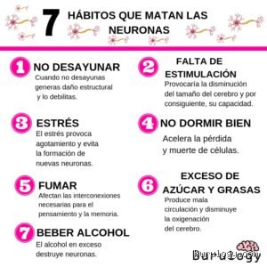 ¿Cómo evitar que mis neuronas mueran? Guía definitiva para blindar tu cerebro y potenciar la longevidad cognitiva