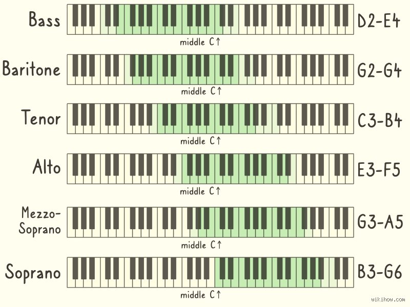 Guia definitiva para descubrir tu rango vocal exacto desde cero sin frustraciones