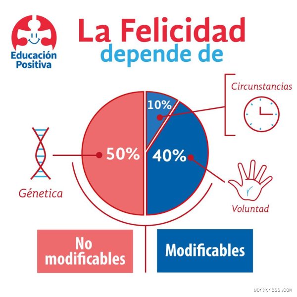 ¿Cómo se clasifica la felicidad? Una mirada profunda a la anatomía del bienestar humano y sus misterios