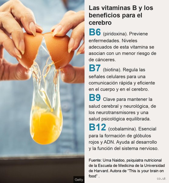 ¿Cuál es el mejor suplemento alimenticio para el cerebro? Guía científica para potenciar tu rendimiento mental