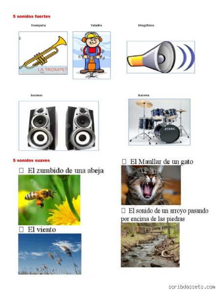 ¿Cuáles son 10 sonidos fuertes?