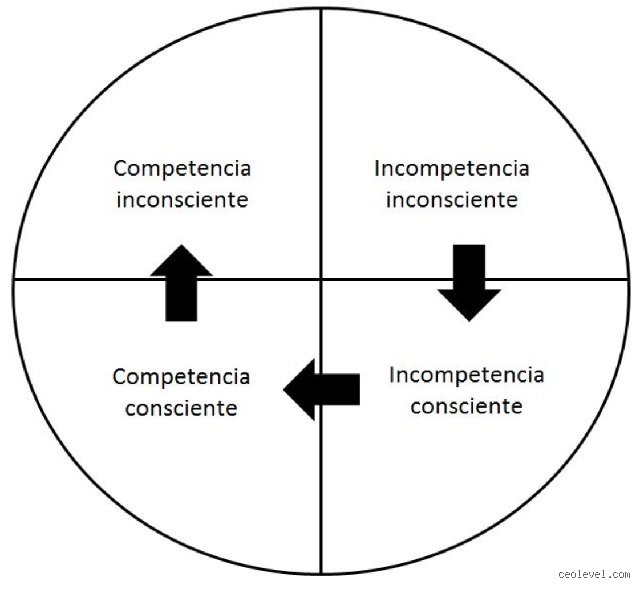 ¿Cuáles son las 4 etapas de la competencia y por qué entenderlas transforma radicalmente tu capacidad de aprender cualquier habilidad?
