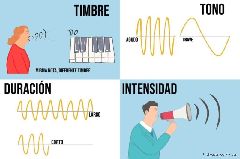 ¿Cuáles son las 5 importancias del sonido? Más allá de la audición: un viaje por las ondas que sostienen nuestra realidad