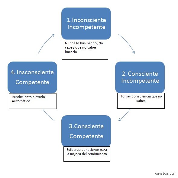 ¿Cuáles son los 4 procesos de aprendizaje? El mapa definitivo para entender cómo nuestro cerebro asimila la realidad