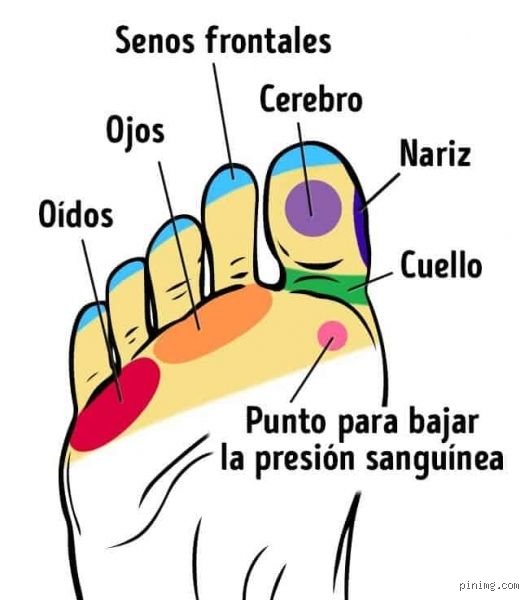 ¿Dónde masajear los pies para bajar la presión arterial? Puntos clave y ciencia real