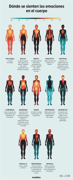 ¿Dónde se almacena el dolor emocional en el cuerpo? Una cartografía de nuestras cicatrices invisibles y su impacto físico real