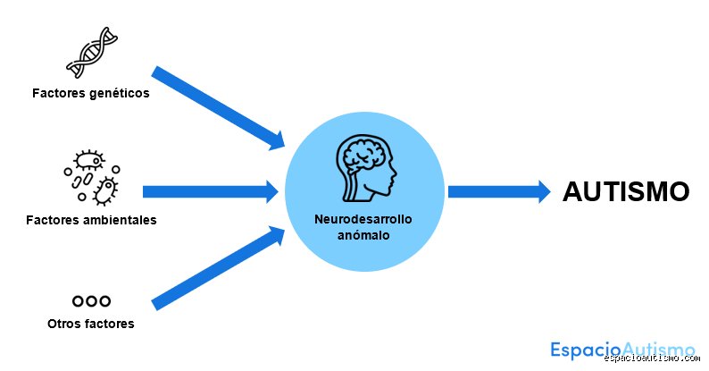 ¿Cuáles son las 3 causas principales del autismo?