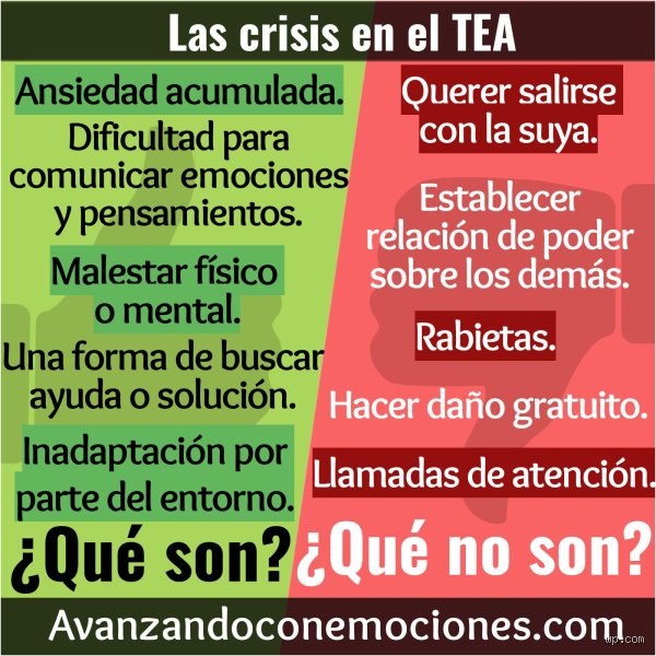 ¿Cuáles son los tipos de crisis autistas?