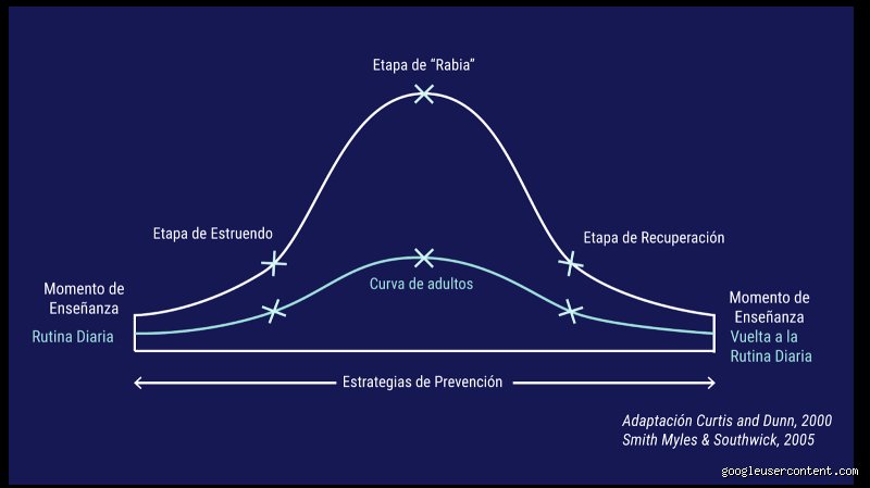 ¿Cuáles son los tres tipos de crisis autistas?